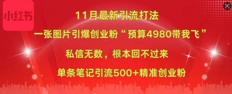小红书11月最新图片打粉，一张图片引爆创业粉，“预算4980带我飞”，单条引流500+精准创业粉 - 小毅网创-小毅网创