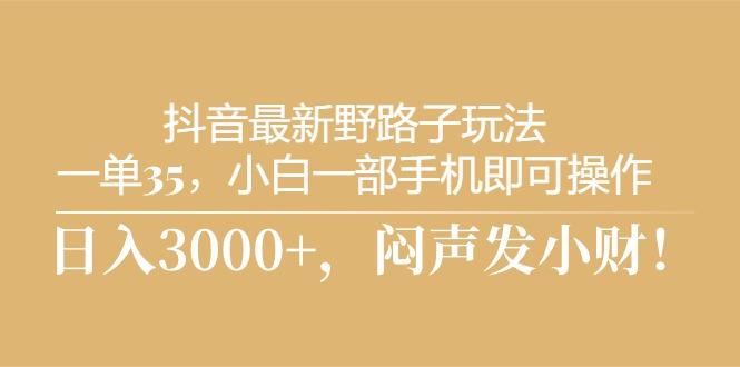 抖音最新野路子玩法，一单35，小白一部手机即可操作，，日入3000+，闷... - 小毅网创-小毅网创