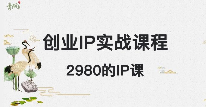 外边卖2980的创业IP课程，做私域月入5w+ - 小毅网创-小毅网创