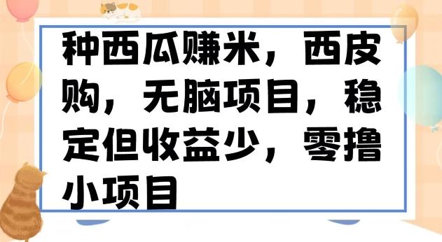 种西瓜赚米，西皮购稳定长久零撸小项目 - 小毅网创-小毅网创