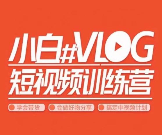 小呆说视-小白VLOG短视频训练营，学会带货、好物、直播、中视频 - 小毅网创-小毅网创