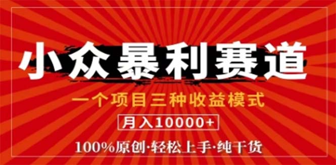 视频号最新爆火赛道，三种可收益模式，0粉新号条条原创条条热门 日入1000+ - 小毅网创-小毅网创