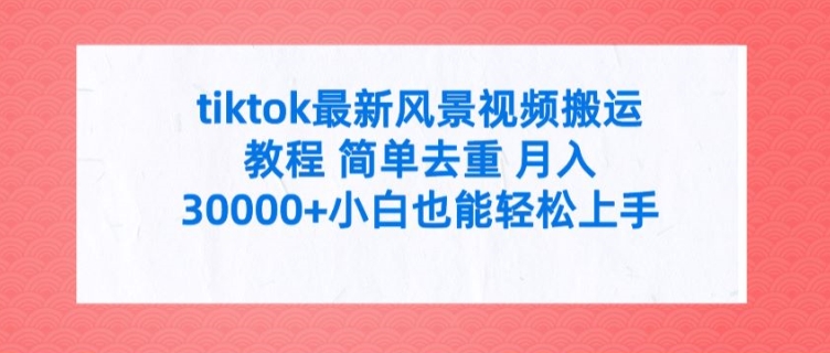 tiktok最新风景视频搬运教程 简单去重 月入3W+小白也能轻松上手【揭秘】 - 小毅网创-小毅网创