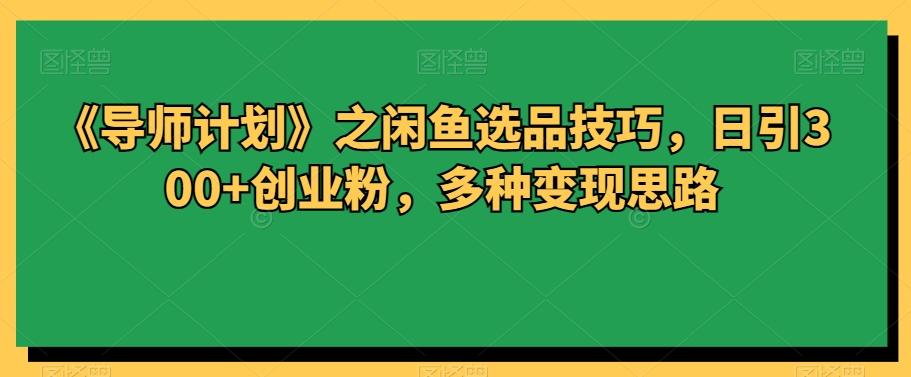 《导师计划》之闲鱼选品技巧，日引300+创业粉，多种变现思路 - 小毅网创-小毅网创