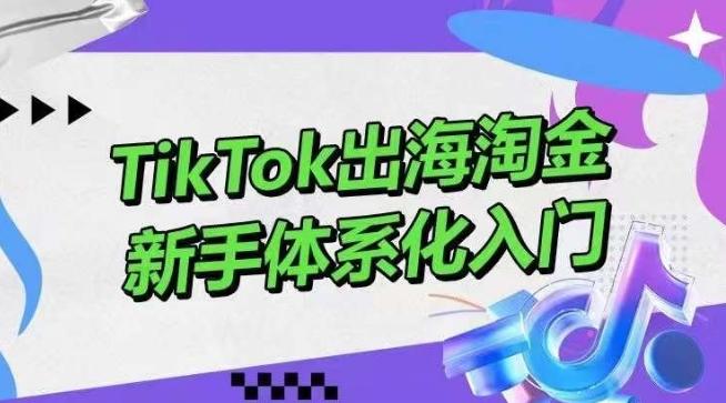 TikTok出海淘金，新手体系化入门，零基础快速入门，掌握短视频、直播带货等引流到变现的知识-小毅网创