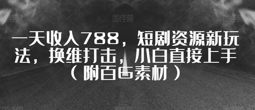 一天收入788，短剧资源新玩法，换维打击，小白直接上手（附百G素材）【揭秘】 - 小毅网创-小毅网创