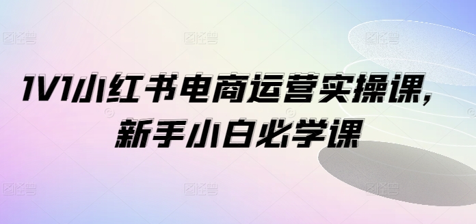 1V1小红书电商运营实操课，新手小白必学课 - 小毅网创-小毅网创