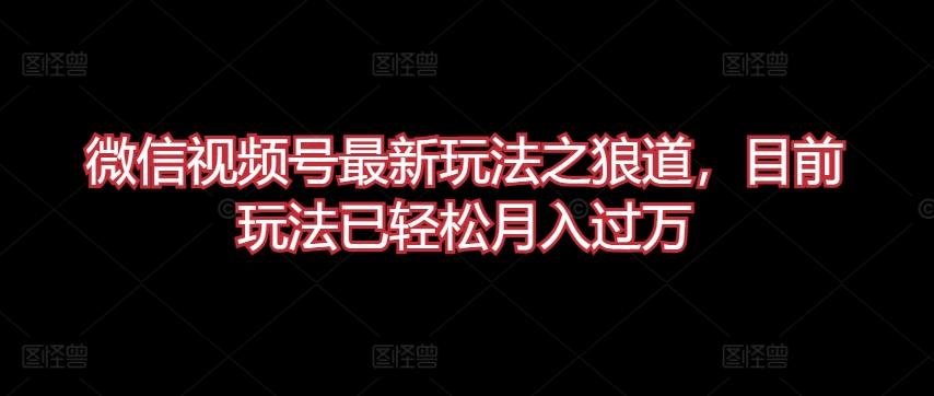 微信视频号最新玩法之狼道，目前玩法已轻松月入过万【揭秘】 - 小毅网创-小毅网创