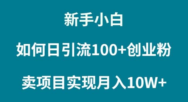 (9556期)新手小白如何通过卖项目实现月入10W+ - 小毅网创-小毅网创