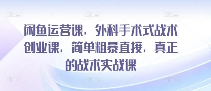 闲鱼运营课，外科手术式战术创业课，简单粗暴直接，真正的战术实战课 - 小毅网创-小毅网创