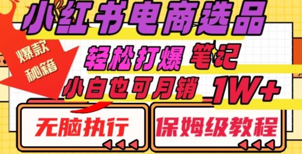 小红书电商爆款选品秘籍，帮你轻松打爆笔记，小白也可轻松月销10000+ - 小毅网创-小毅网创