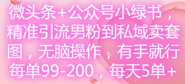 微头条+公众号小绿书，精准引流男粉到私域卖套图，无脑操作，有手就行，每单99-200，每天5单 - 小毅网创-小毅网创