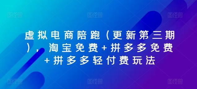 虚拟电商陪跑(更新第三期)，淘宝免费+拼多多免费+拼多多轻付费玩法 - 小毅网创-小毅网创