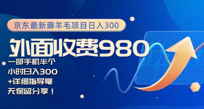 京东最新薅羊毛项目小白怎么做到日入300+一部手机半小时搞定 - 小毅网创-小毅网创