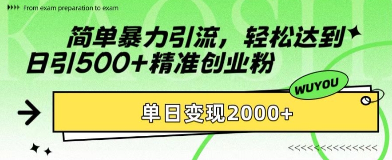 简单暴力引流，轻松达到日引500+精准创业粉，单日变现2k【揭秘】 - 小毅网创-小毅网创