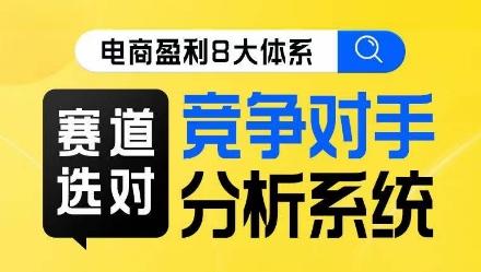 电商盈利8大体系·赛道选对，​竞争对手分析系统线上课 - 小毅网创-小毅网创