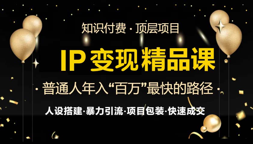 IP变现最新精品课程，知识付费全流程+最强引流术+小白避坑指南 - 小毅网创-小毅网创