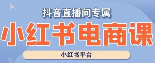 小红书电商高级运营课程，实操教学+案例分析 - 小毅网创-小毅网创